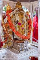 Shri Chitrapur Rathotsava Shirali - 2014